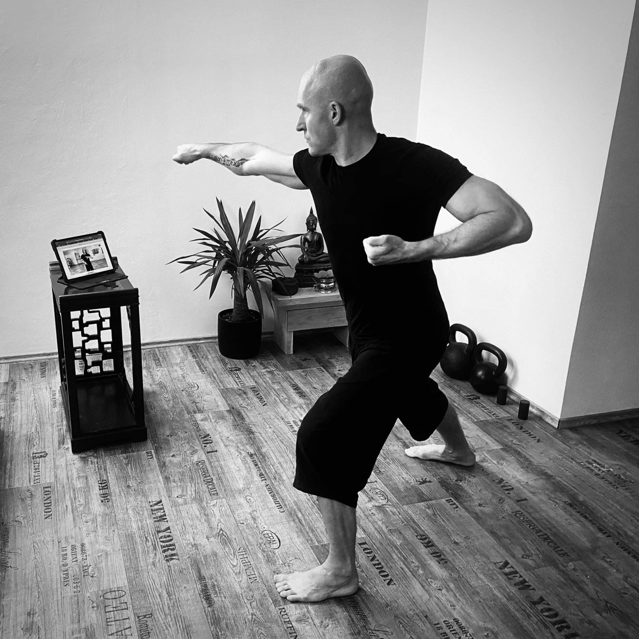 David Rogers training the Shooting Star Fists combination at home, following along on a tablet