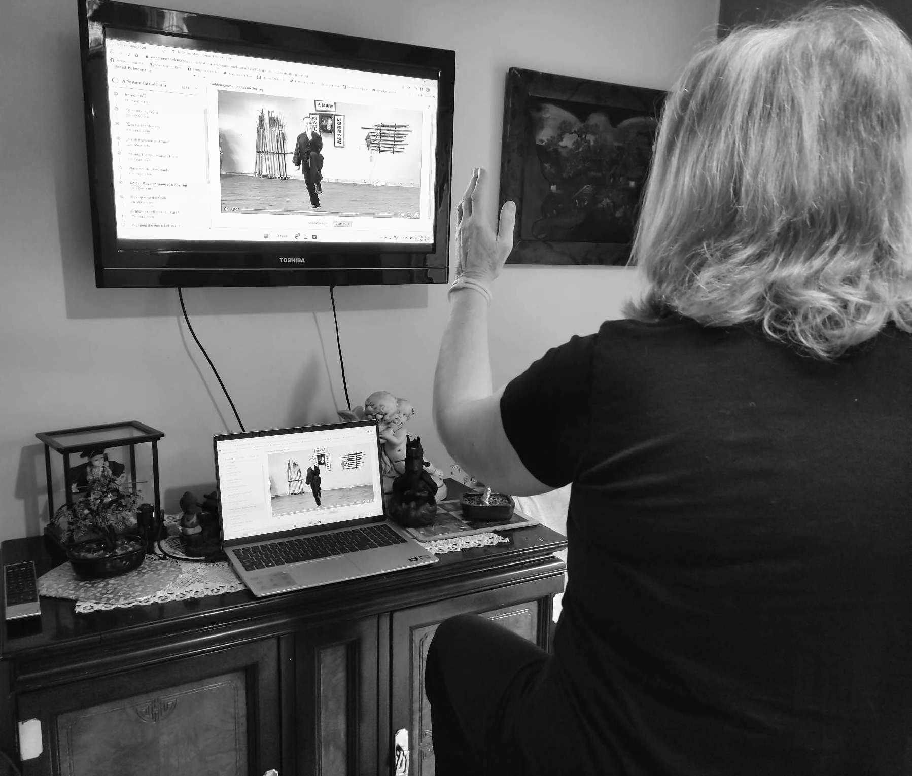 A student following along with the Grasping the Bird's Tail course on TV and laptop at home
